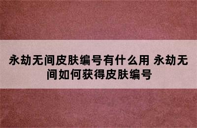 永劫无间皮肤编号有什么用 永劫无间如何获得皮肤编号